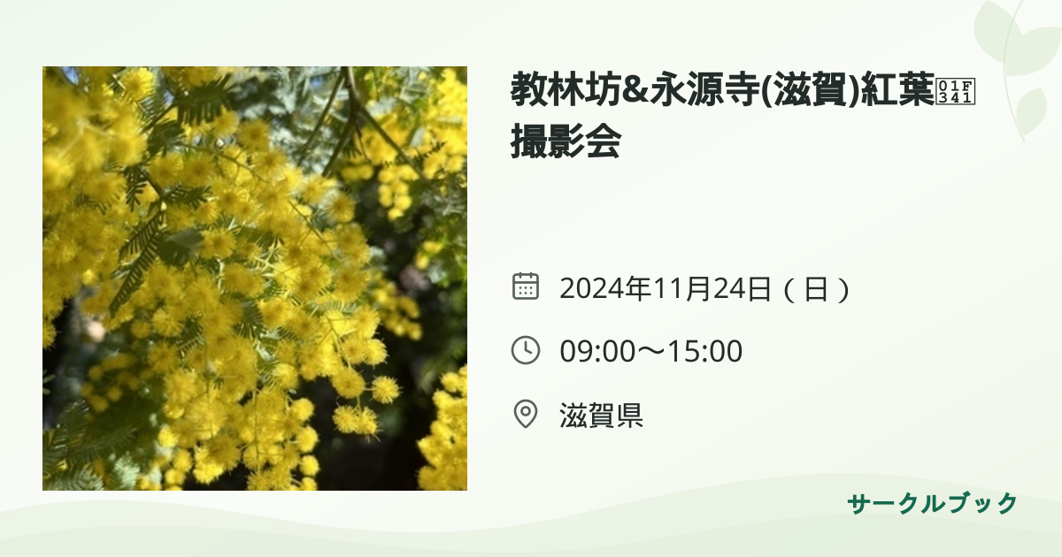 共有されるイベント画像のプレビュー