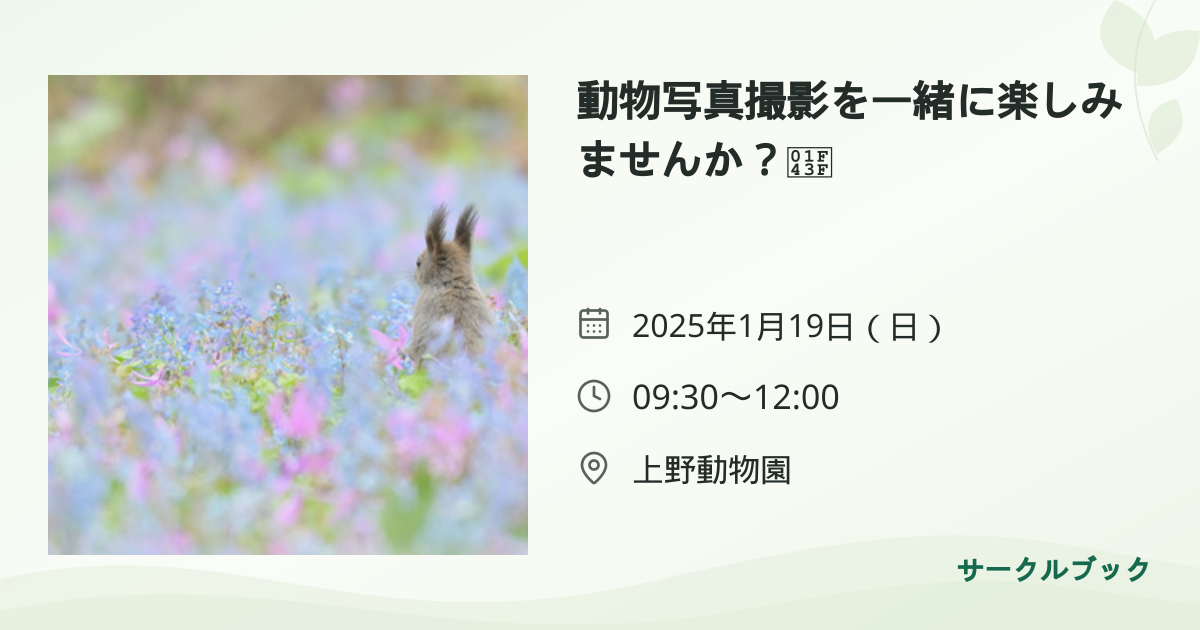 共有されるイベント画像のプレビュー