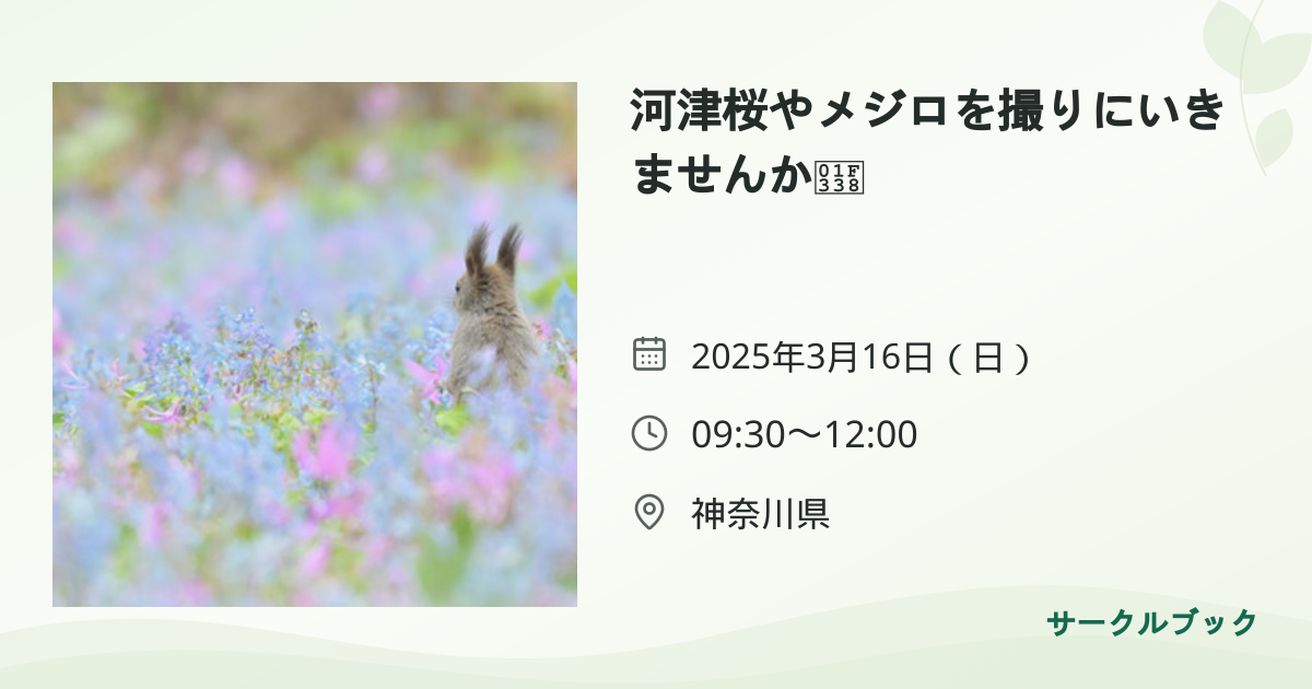 共有されるイベント画像のプレビュー