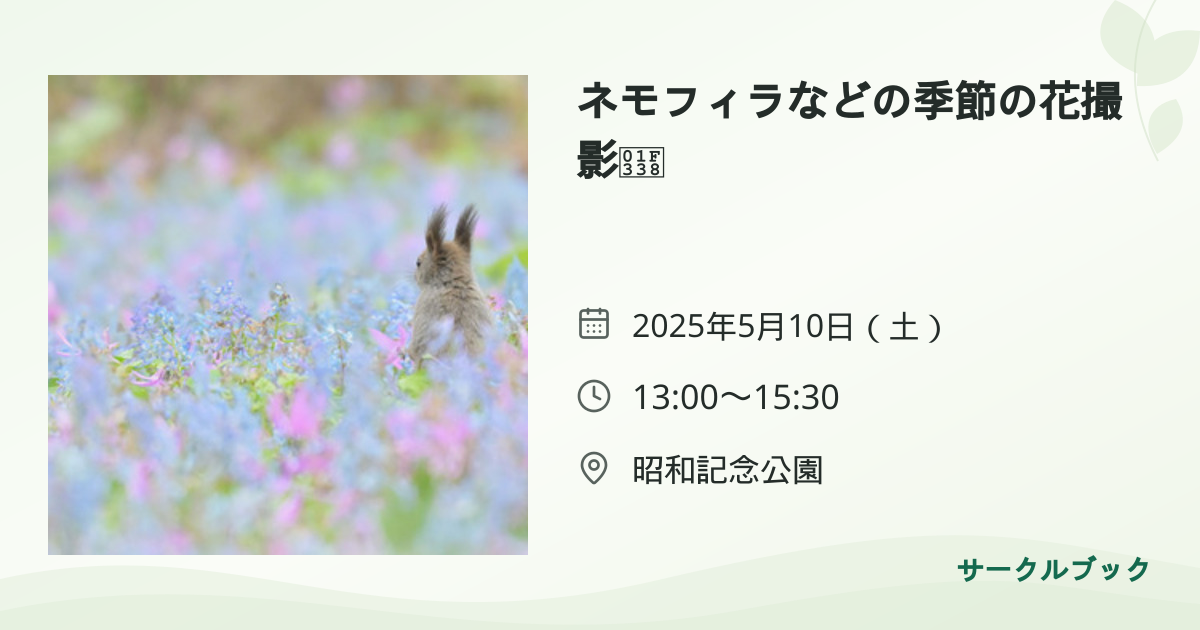 共有されるイベント画像のプレビュー