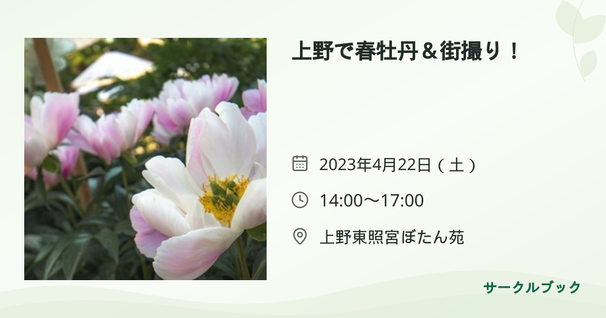 共有されるイベント画像のプレビュー