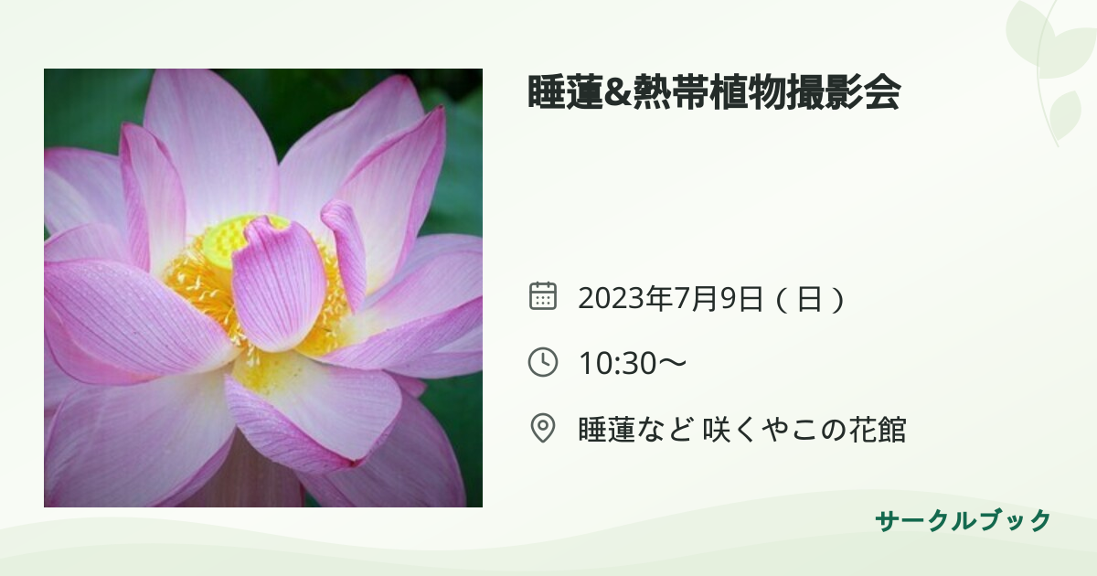 共有されるイベント画像のプレビュー