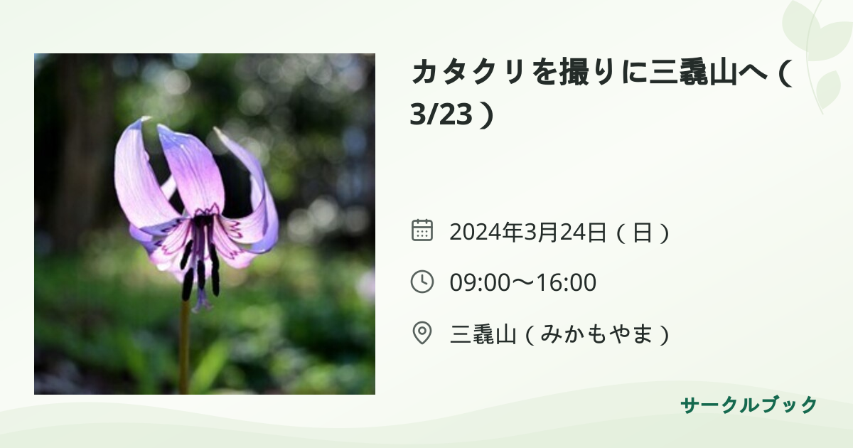 共有されるイベント画像のプレビュー