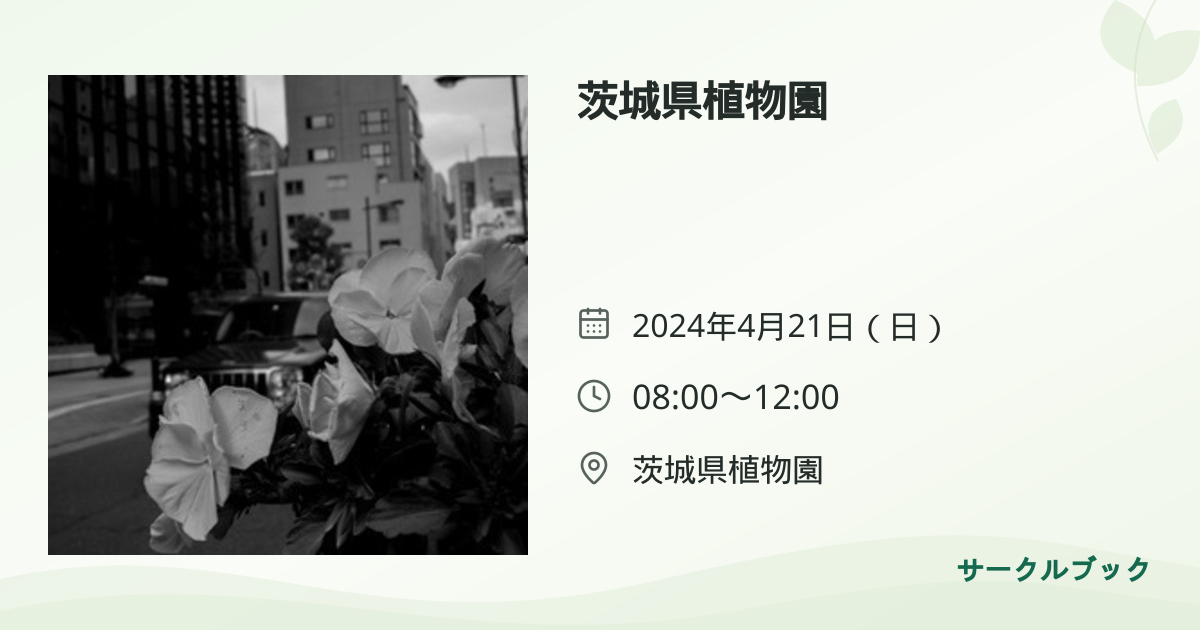 共有されるイベント画像のプレビュー