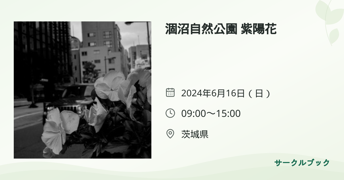 共有されるイベント画像のプレビュー